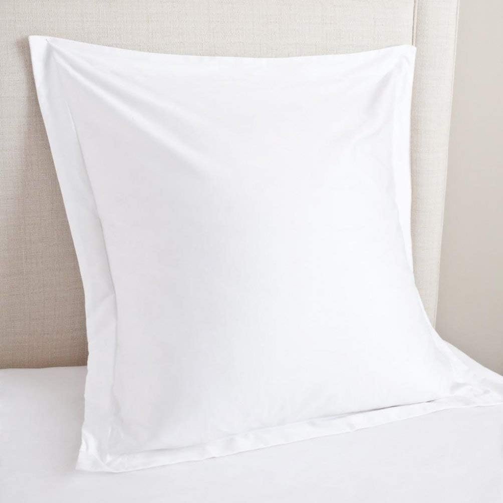 Euro Sham Covers 24x24 Set Of 2 White 600 Thread Count 100% Egyptian Cotton Pack Of 2 Euro 24x24 Pillow Covers Cushion Cover Cases Soft Skin Friendly Decorative Square Pillow Shams - Image 2