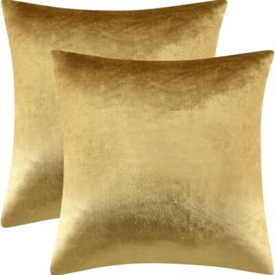 Gold Velvet Decorative Throw Pillow Covers,18x18 Pillow Covers for Couch Sofa Bed 2 Pack Soft Cushion Covers
